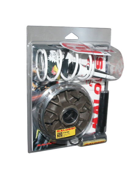 Variateur Multivar 2000 MALOSSI Honda 300 SH 2007-2020 Forza 2013-2020