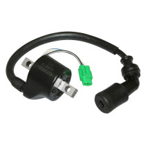 Bobine d'allumage Suzuki 125 Burgman 1999-2006