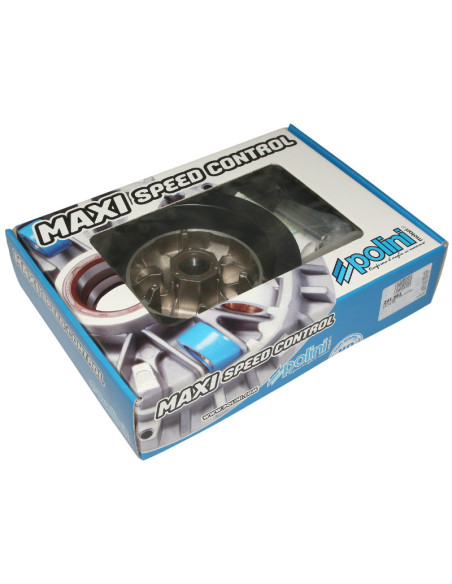 Variateur Hi-Speed POLINI Steed 250 Q-Wing