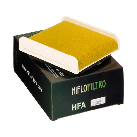 Filtre à air HIFLOFILTRO HFA2503