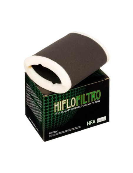 Filtre à air HIFLOFILTRO HFA2908