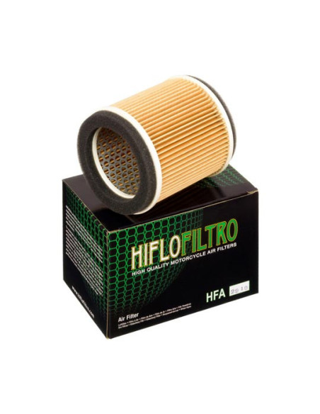 Filtre à air HIFLOFILTRO HFA2910
