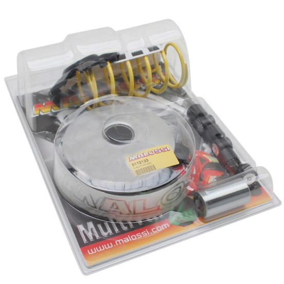 Variateur Multivar 2000 Sport MALOSSI Linhai 125/150 Monarch WT Motors 150 Kayman WT 4T (1P57QMJ)