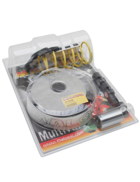 Variateur Multivar 2000 Sport MALOSSI Linhai 125/150 Monarch WT Motors 150 Kayman WT 4T (1P57QMJ)