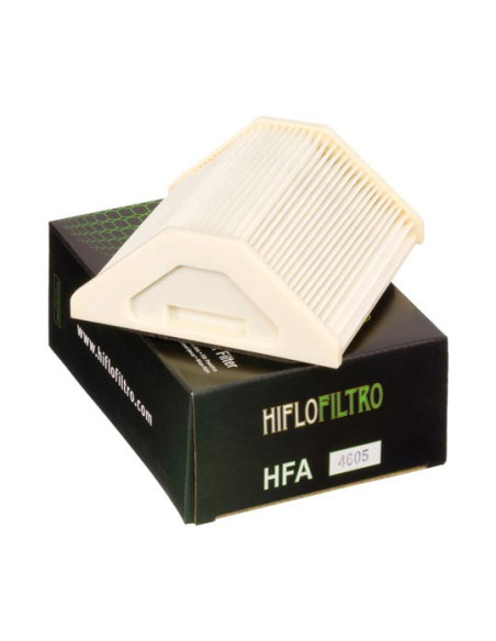 Filtre à air HIFLOFILTRO HFA4605