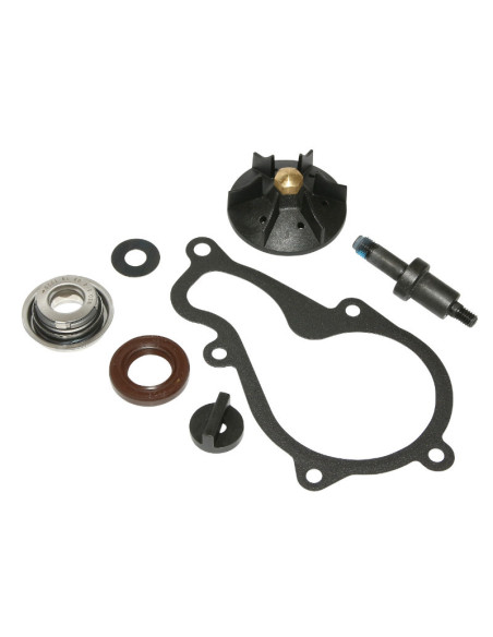 Kit réparation pompe à eau maxiscooter Piaggio 350 Beverly 2012-2019