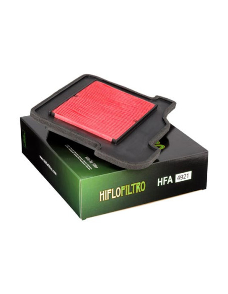 Filtre à Air HIFLOFILTRO HFA4921