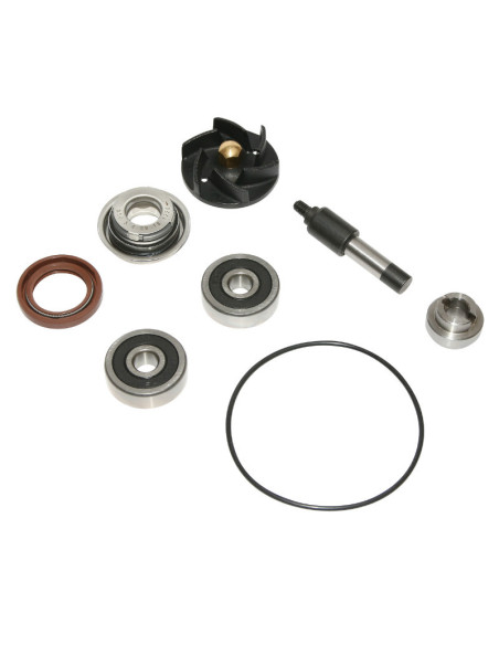 Kit reparation pompe à eau Piaggio 250 MP3 X7 300 MP3 X7 Vespa GTS Beverly Yourban 125 Vespa GTS