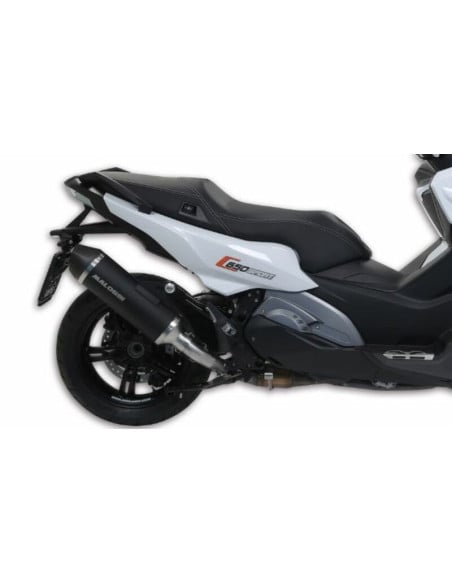 Silencieux Wild Lion MALOSSI Homologué BMW C 650 Sport 2016-2019