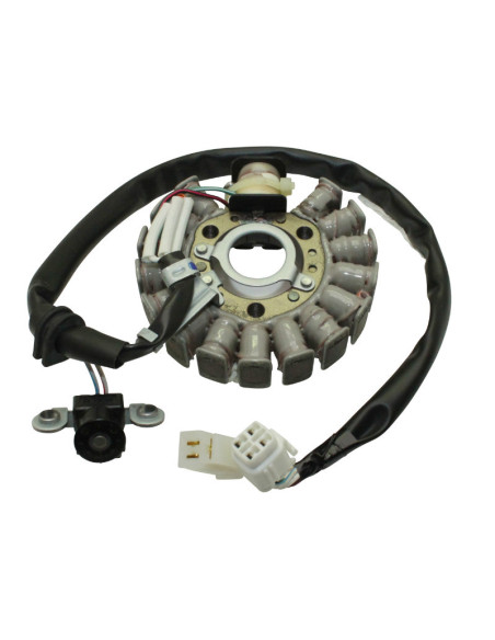 Stator TOP PERFORMANCES MBK/Yamaha 125cc