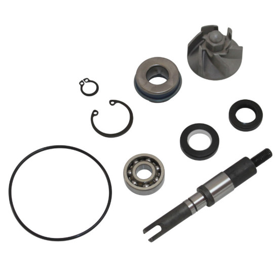 Kit réparation pompe à eau TOP PERFORMANCES Honda 125 NES/FES/Dylan/SH/Pantheon