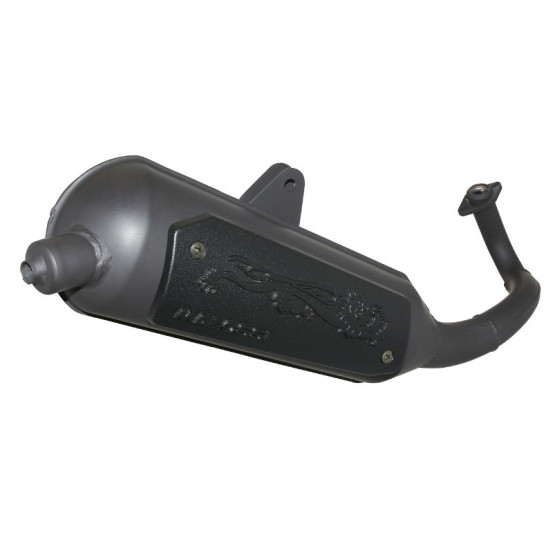 Pot d'échappement MALOSSI Wild Lion 50cc Piaggio Typhoon Aprilia SR Motard Derbi Variant Sport