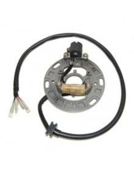 Stator ELECTROSPORT KAWASAKI 125 KX 1995-1997