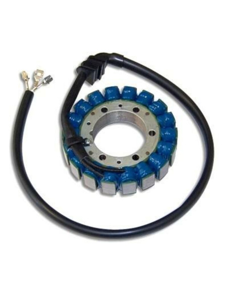 Stator ELECTROSPORT Honda 900 CBR RR 2000-2001