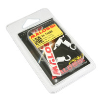 Ressorts d'embrayage Blanc MALOSSI Racing Origine 50cc Piaggio 50 Zip Typhoon NRG Gilera Stalker Runner