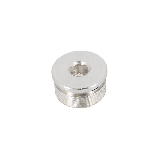 Bouchon tube de fourche mécaboite origine RIEJU 50 / 125 MRT / Marathon