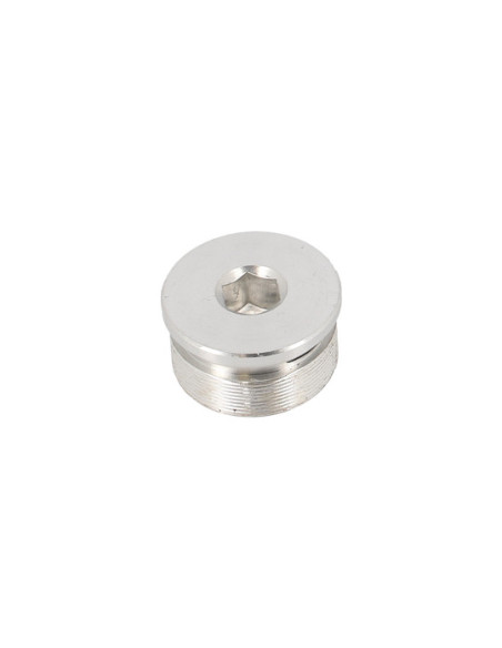 Bouchon tube de fourche mécaboite origine RIEJU 50 / 125 MRT / Marathon