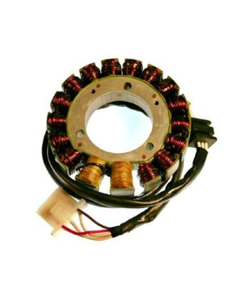 Stator ELECTROSPORT Kawasaki 650 KLR 1987-2007 650 KL Tengai 1990-1991