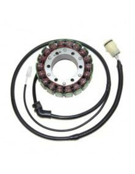 Stator ELECTROSPORT Kawasaki 1200 ZX-12R 2000-2001