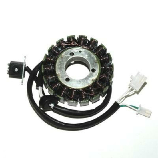 Stator ELECTROSPORT Suzuki 650 DL V-Strom 2004-2007 650 SV 2003-2010