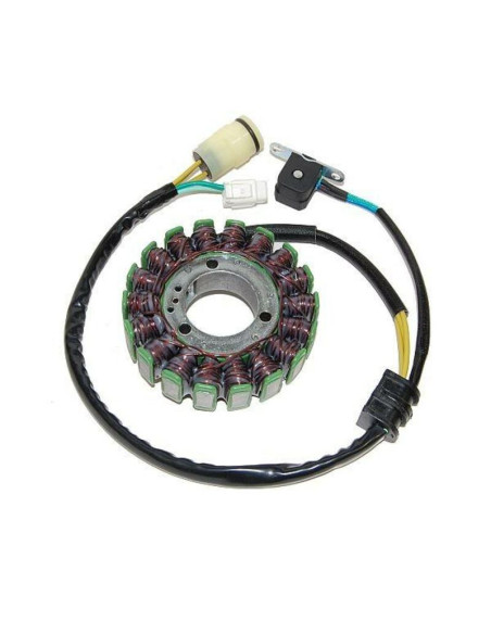 Stator ELECTROSPORT Yamaha 660 YFZ Raptor 2001-2005