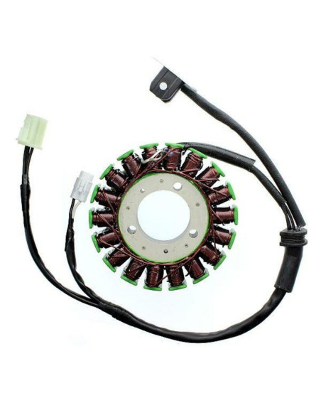 Stator ELECTROSPORT Triumph 675 Street Triple 2007-2011 Street Triple R 2009-2014 Daytona 2006-2014