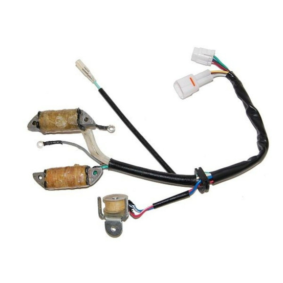 Stator ELECTROSPORT YAMAHA Quads 50 à 200 YFM