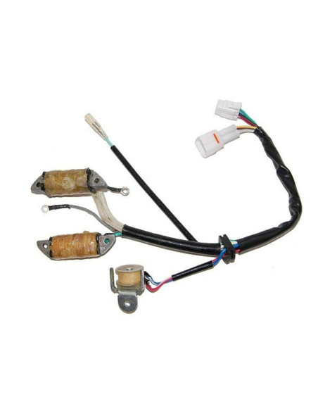 Stator ELECTROSPORT YAMAHA Quads 50 à 200 YFM