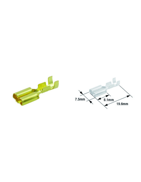 Pack de 100 cosses femelle électrique TOURMAX type 250