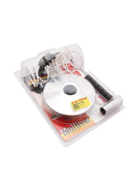 Variateur Multivar MALOSSI Quadro 350 S 2016