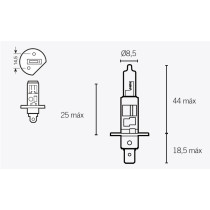 Ampoule LAMP H1 P14,5S