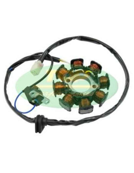 Stator TOP PERFORMANCES Kymco 125 People 1999-2011