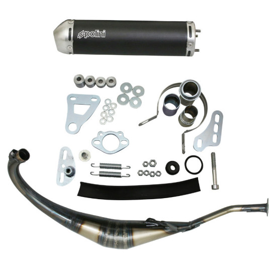 Pot d'échappement POLINI Evolution Minarelli 50 AM6 Rieju 50 RS2 Aprilia 50 RS Yamaha 50 TZR