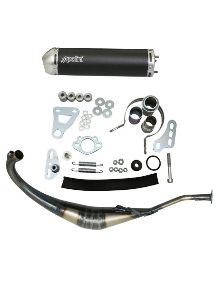 Pot d'échappement POLINI Evolution Minarelli 50 AM6 Rieju 50 RS2 Aprilia 50 RS Yamaha 50 TZR