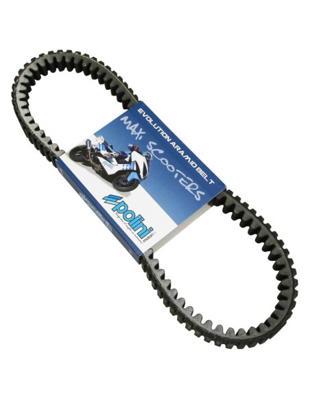 Courroie de transmission POLINI Aprilia/Derbi/Malaguti/Piaggio/Vespa