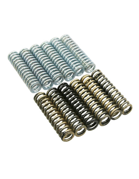 Ressorts d'embrayage POLINI Yamaha 530 Tmax 2012-2019 Kymco 550 AK 2017-2023