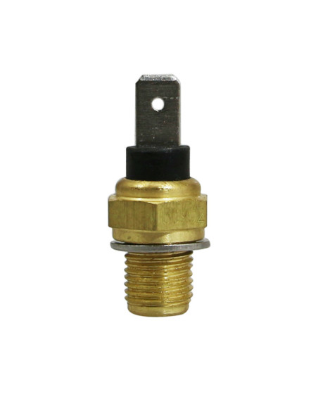 Sonde de température MALOSSI Heat Master Controller