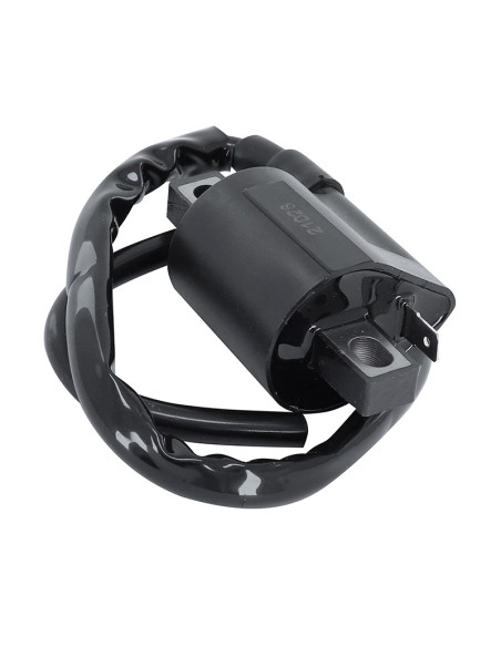Bobine TOP PERFORMANCES MBK/Yamaha 50cc