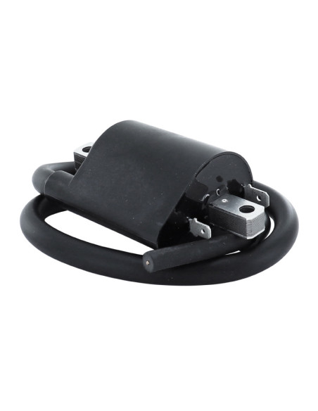 Bobine d'allumage SGR Suzuki 1400 Intruder 1987-2004 1500 Intruder 1998-2004 Yamaha BT Bulldog 2002-2005