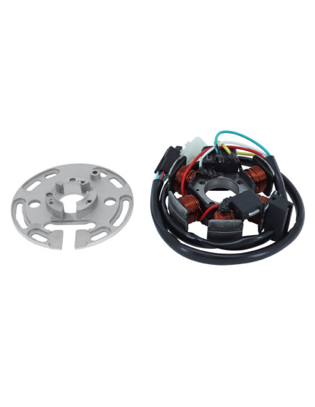 Stator SGR Derbi 50 Senda R/SM Pro/Racing/Racer/Xrace/Xtreme/Evo
