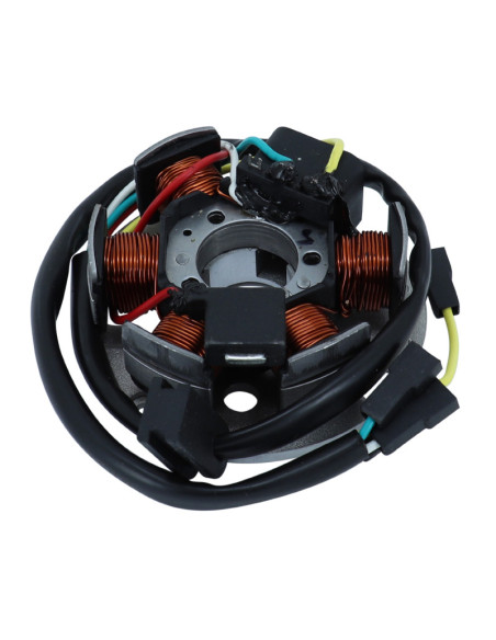 Stator SGR Derbi 50 GPR Nude 2006-2012 GPR Racing 2006-2014 50 Senda DRD/Pro/Racing 2006-2013