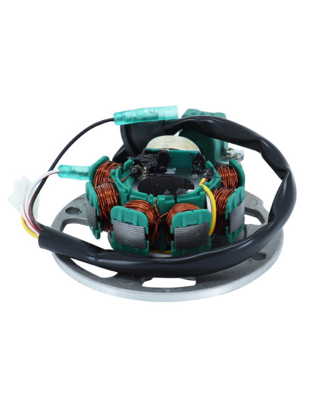 Stator SGR Aprilia/Benelli/Beta/E-Ton/Italjet/MBK/Polaris/Yamaha