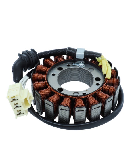 Stator SGR Yamaha 1000 FZS 2001-2005
