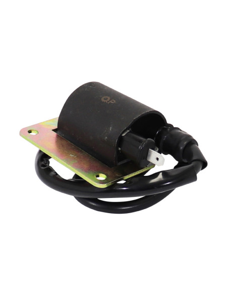 Bobine d'allumage/CDI scooter Piaggio 125 Typhoon 1993-2000
