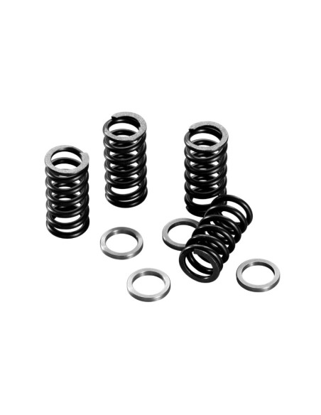 Ressorts d'embrayage renforcés POLINI Minarelli 50 AM6