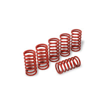 Kit de 6 ressorts d'embrayage H38 CNC RACING - DUCATI