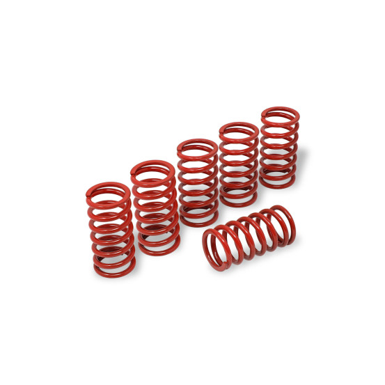 Kit de 6 ressorts d'embrayage H38 CNC RACING - DUCATI