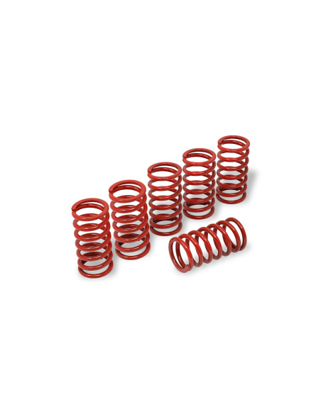 Kit de 6 ressorts d'embrayage H38 CNC RACING - DUCATI