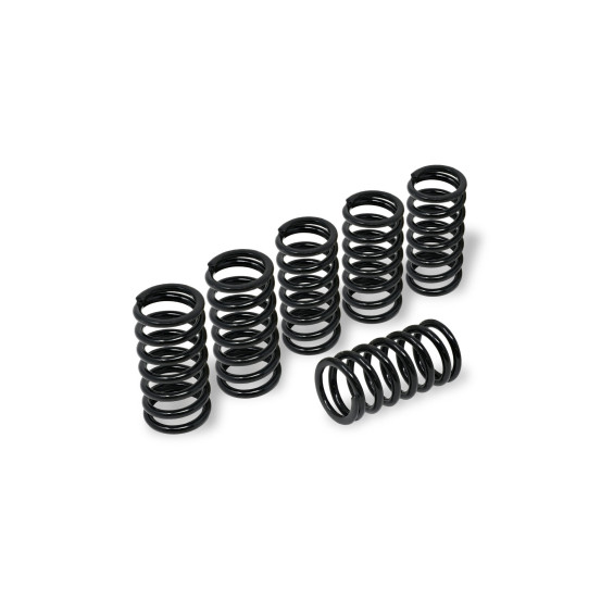 Kit de 6 ressorts d'embrayage H40,5 CNC RACING - MV AGUSTA