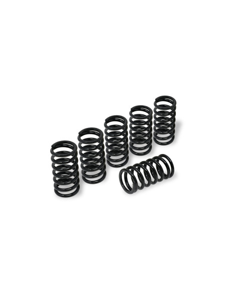 Kit de 6 ressorts d'embrayage H40,5 CNC RACING - MV AGUSTA
